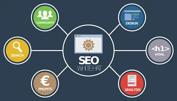 5 SEO Tips to Boost Your Search Rankings